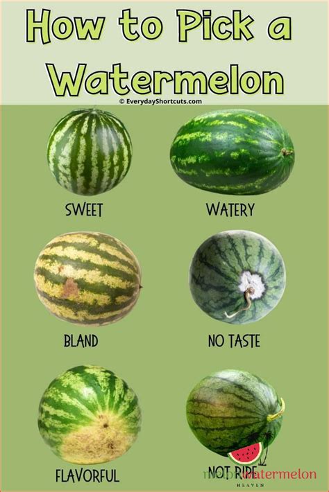 drop test watermelon|ripe vs unripe watermelon.